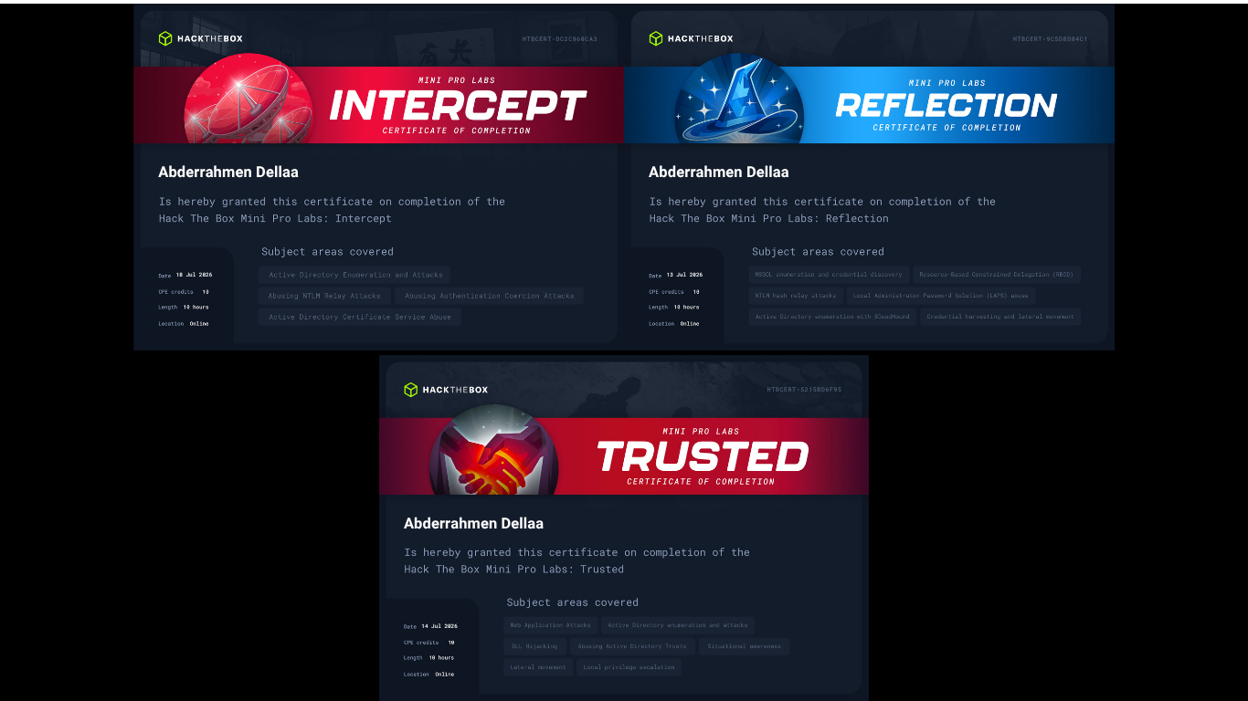 VulnLab mini prolabs certificates