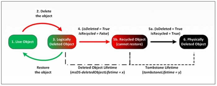 Diagram showing AD object lifecycle: Live Object becomes Logically Deleted Object (restorable during msDS-deletedObjectLifetime window), then becomes Recycled Object (cannot restore), then Physically Deleted Object after tombstoneLifetime expires